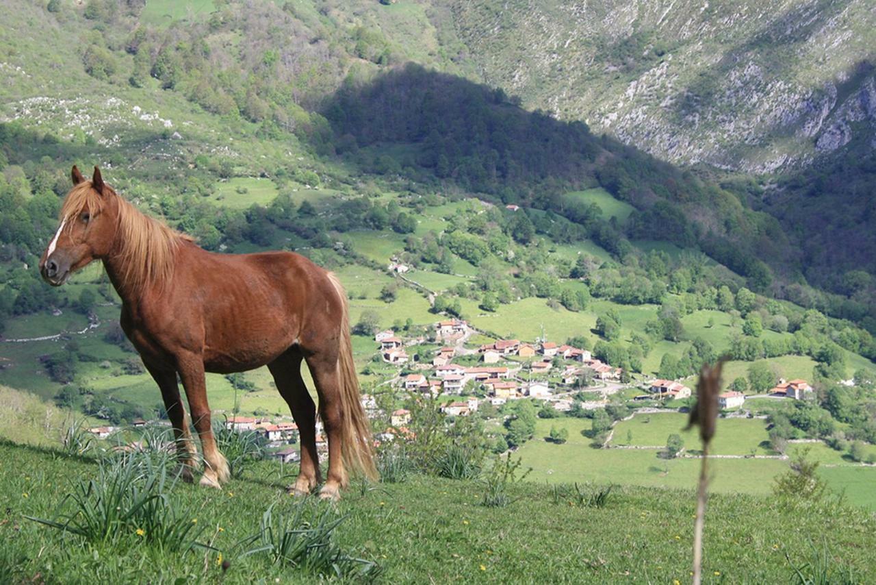 Hotel Rural Llerau Ponga Kültér fotó